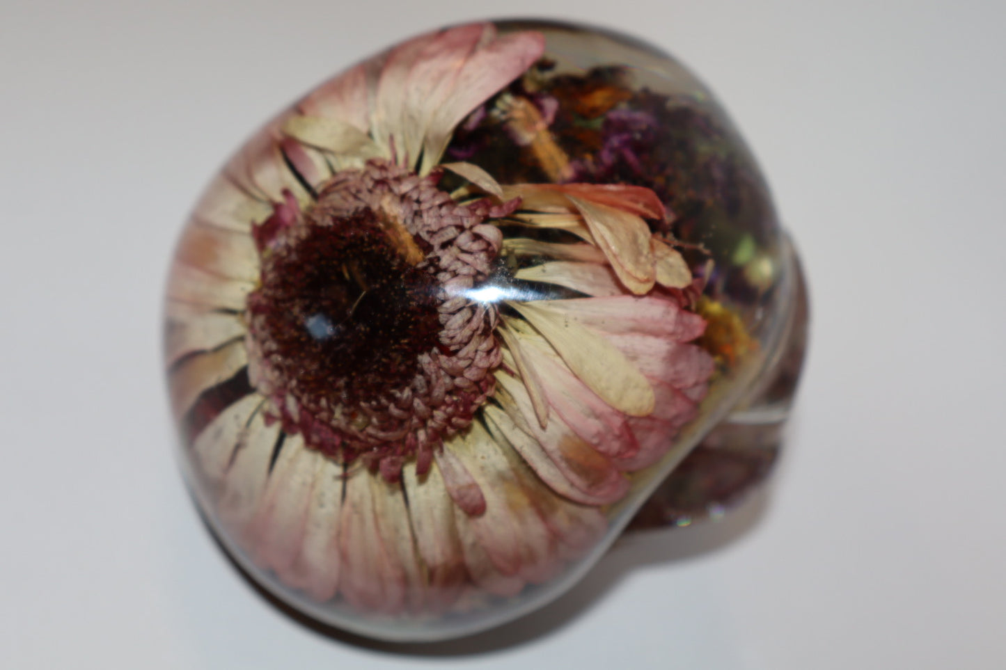 Pink Daisy Skull