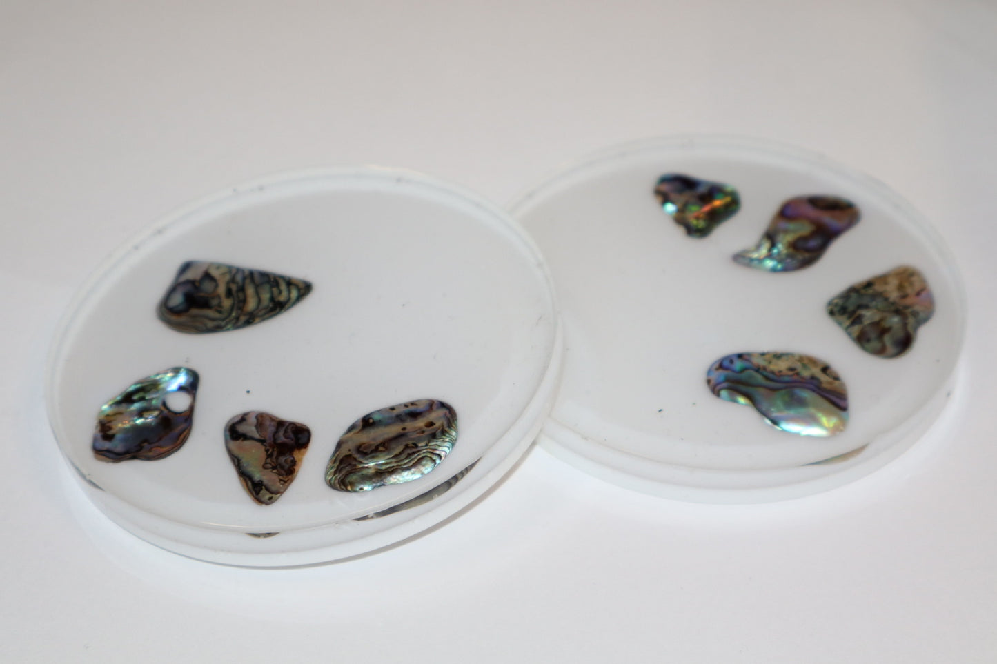 Abalone Shell Coaster Set