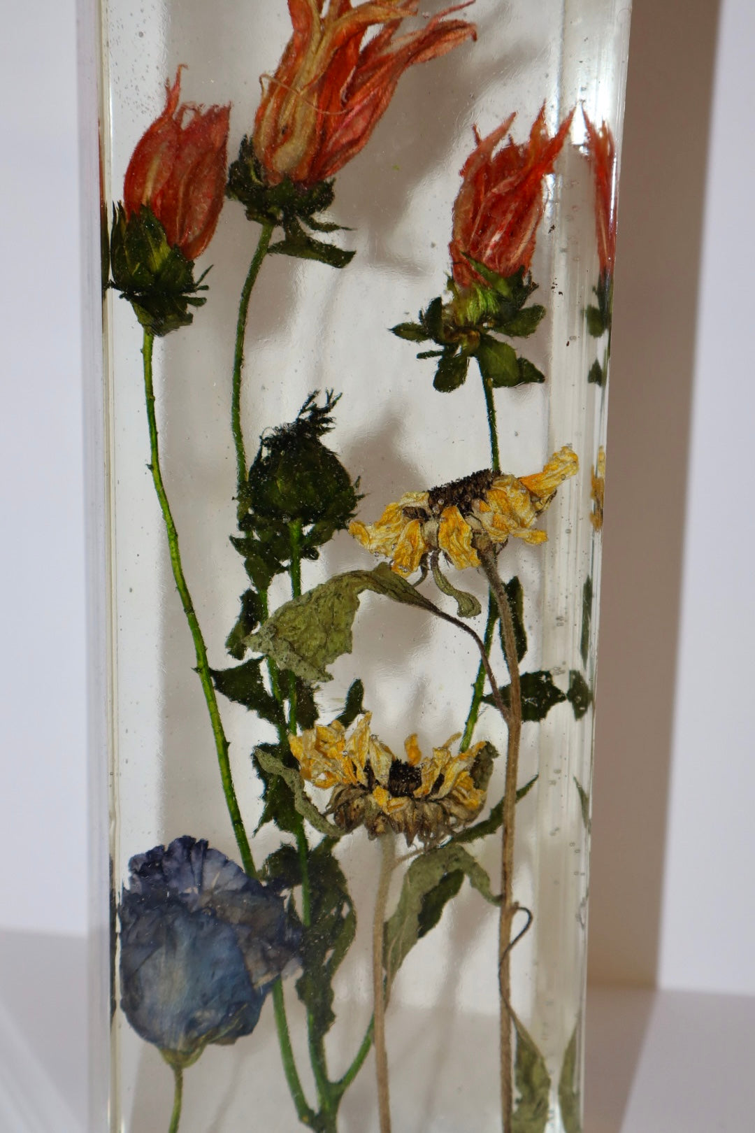 Castilleja & Sunflowers Lamp