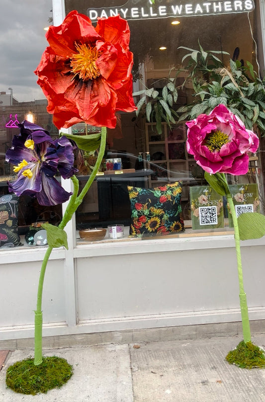Display Flower