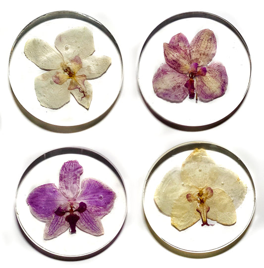 Orchid Coaster Set